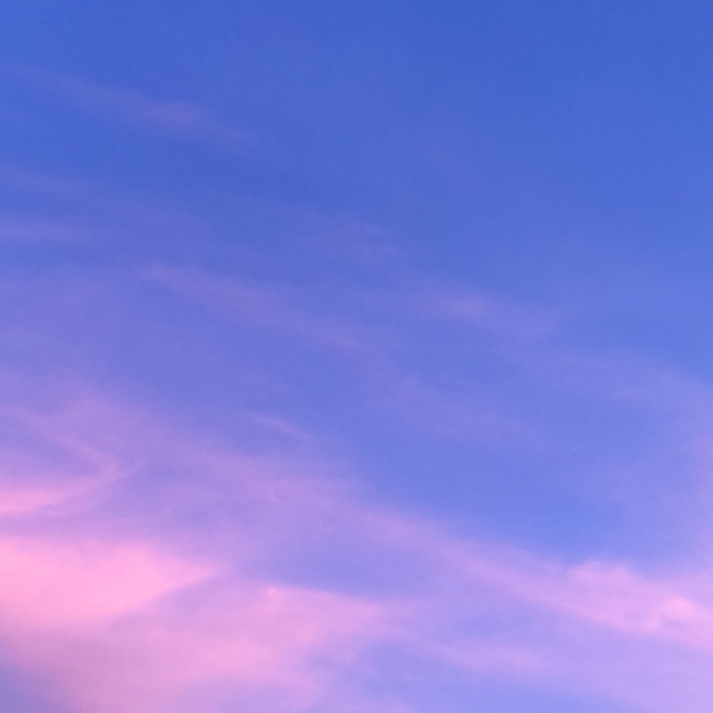 Meet your Posher, Apeksha